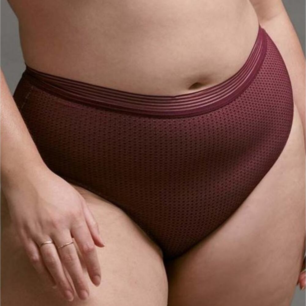 Brand New Women's Thirdlove Modern Mesh High Brief Mesh Sheer Panty Pinot Small